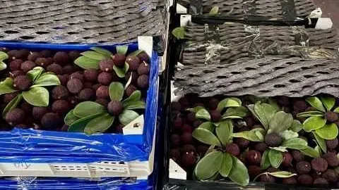 海外会员面临广告风暴：广告覆盖全球的五大避雷指南